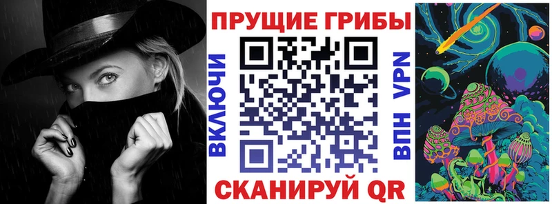 blacksprut   Новозыбков  Псилоцибиновые грибы мицелий  сколько стоит 