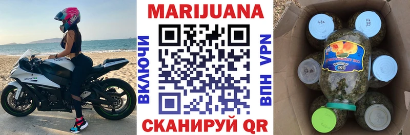 купить наркоту  Новозыбков  ОМГ ОМГ зеркало  МАРИХУАНА SATIVA & INDICA 